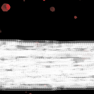 Un missatge dins d’una ampolla